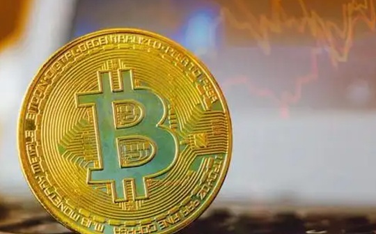连CZ的狗都有迷因币，Broccoli币20分钟赚650万美金