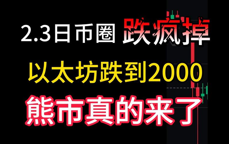 VanEck投资经理透露：山寨币是否仍被高估？未来趋势真的在代币化股权上吗？