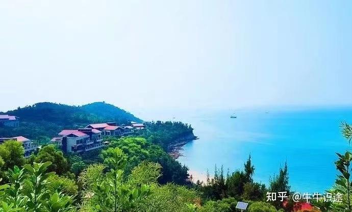Gbirb能否助力Moonbirds重回巅峰，再次飞向“月球”？