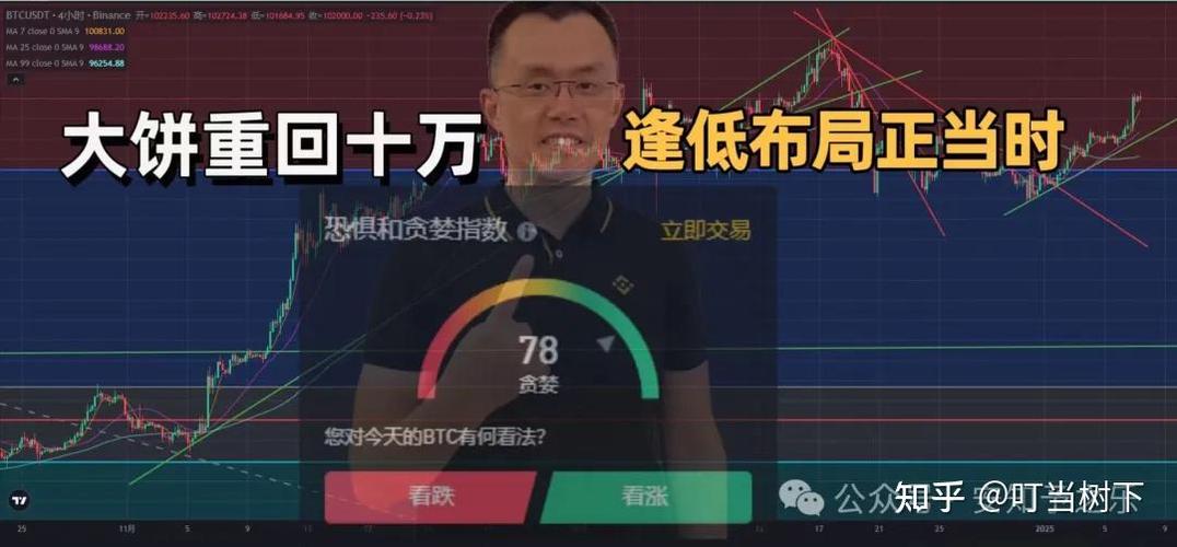 牛市回调阶段，机器人策略如何指导10大山寨币布局？